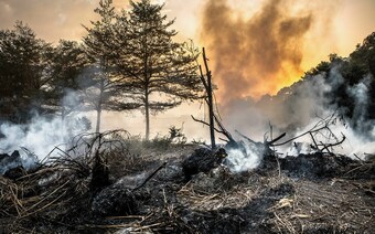 Оценка ущерба после стихийного бедствия в Волжском: отчет оценщика